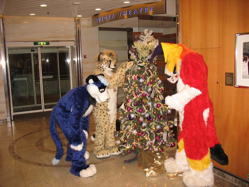 151 Xmas tree.jpg